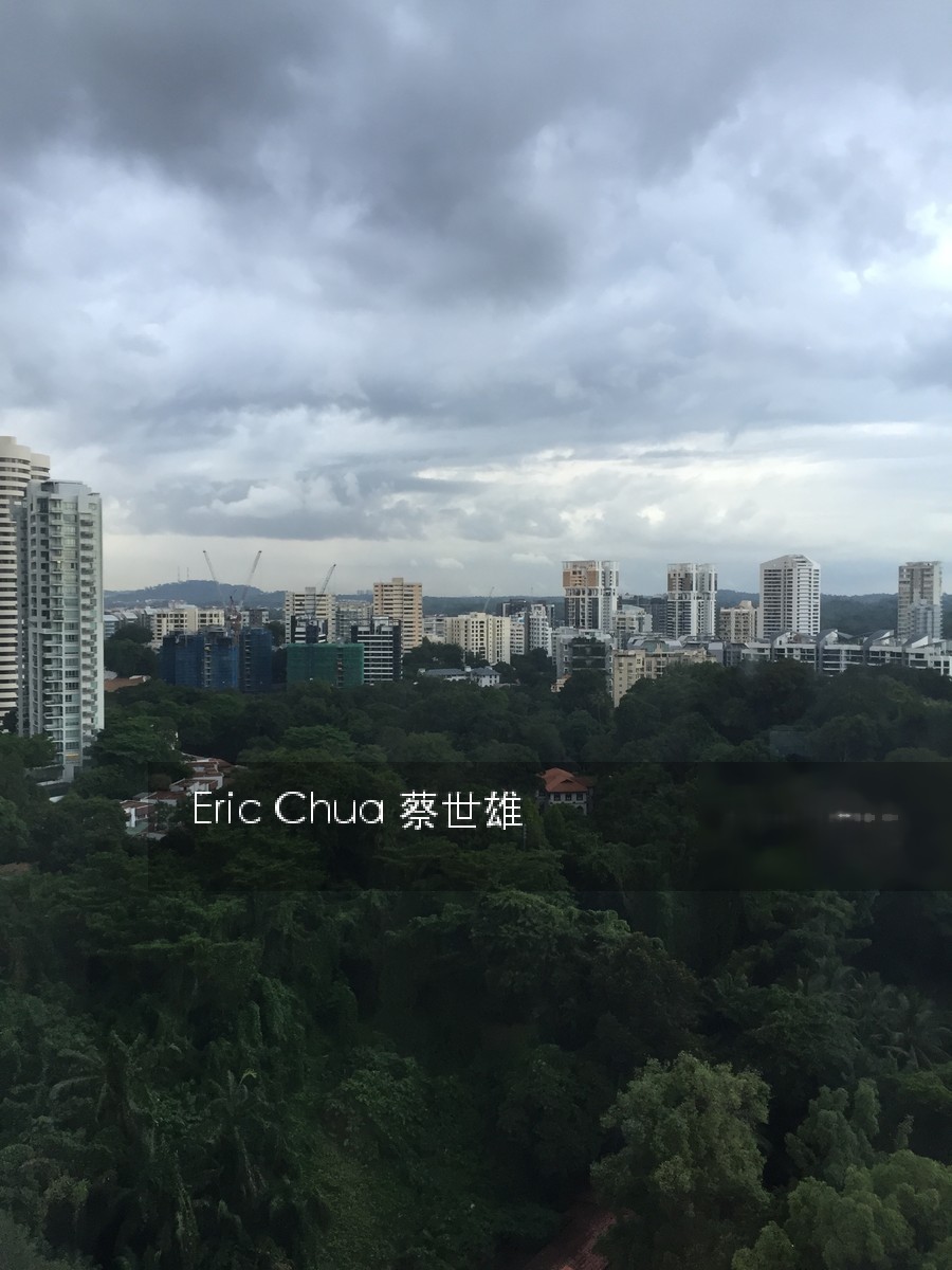Scotts 28 (D9), Condominium #143980092
